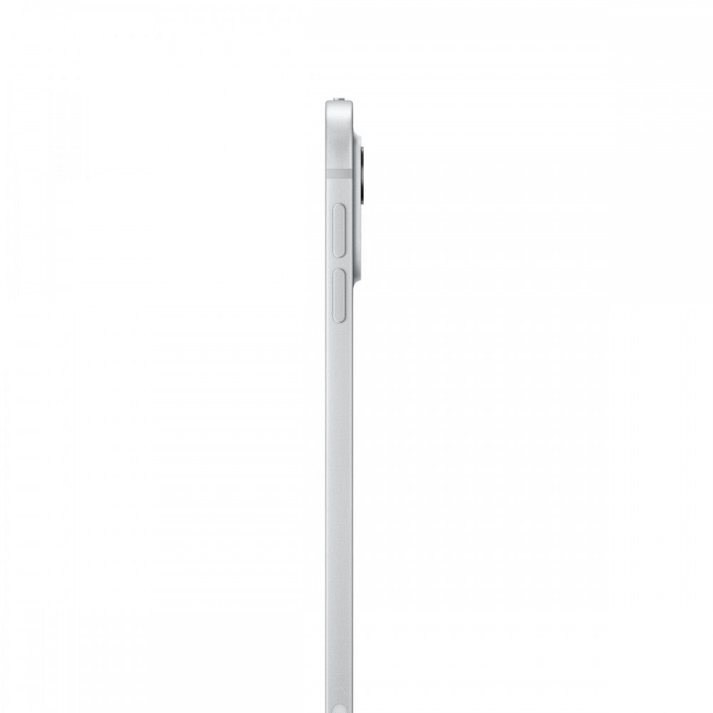 iPad Pro 11 M4 WiFi+Cell 1TB Prateado