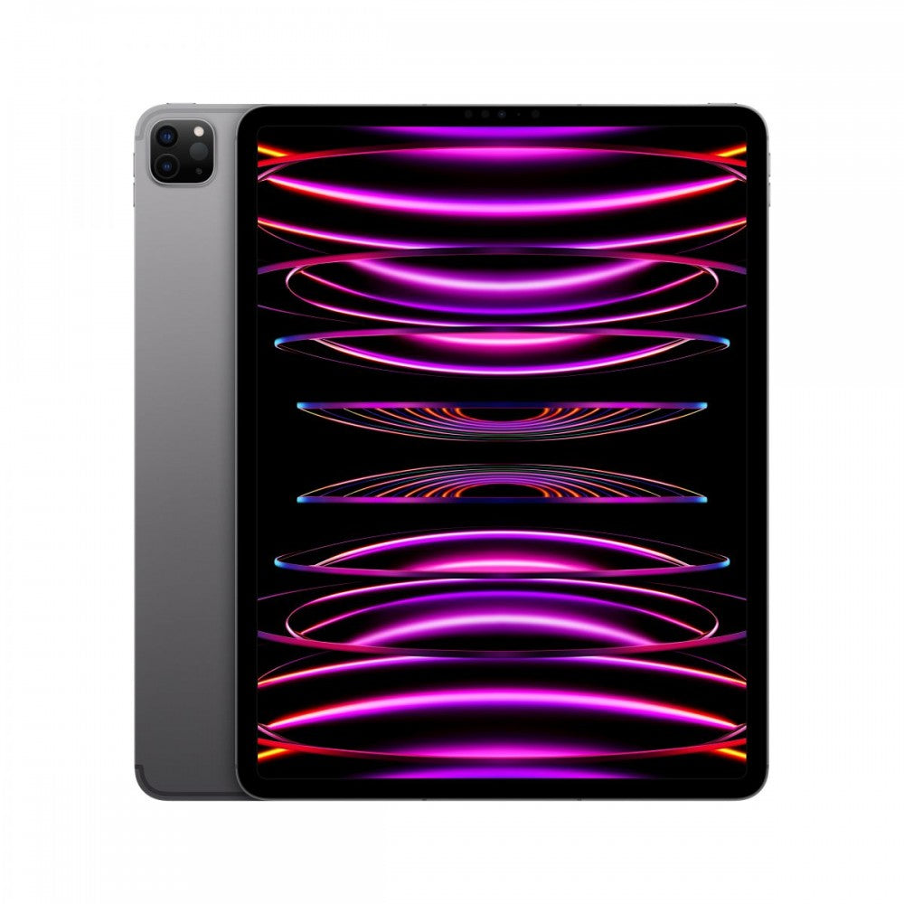 iPad Pro 12.9 M2 WiFi+Cell 256GB Cinzento